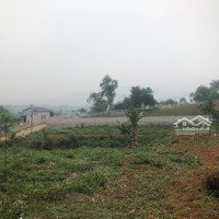 Em Cần Bán Gần 2000M2 Giá Hơn 4 Tỷ Đất Tại Yên Bài, Ba Vì
