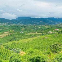 Cần Bán Lô Đất Xã Gia Lâm, Lâm Hà Cách Tt Đa Lạt 28Km Sân Bay 15Km