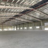 Cho thuê xưởng 1900m2 KCN Long Hậu, Xã Long Hậu, Huyện Cần Giuộc, Long An