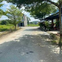 Kẹt Tiền Bán Gấp Lô Đất Gần Chợ Bàu Cạn Gần Sân Bay Long Thành Đồng Nai Giá Bán 2 Tỷ 850 Triệu