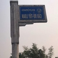 Bán Đất Đường 7M5 Hoà Thọ Tây Cẩm Lệ Đà Nẵng Sụp Hầm