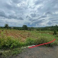 Bán Lô Đất Ngộp Có Thổ Cư Mặt Tiền Đường Nhựa Nhà Nước Chỉ Nữa Giá Tại Lộc Đức, Huyện Bảo Lâm