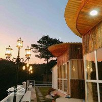 Cho Thuê Homestay Hùng Vương - Phường 10 - Đà Lạt Diện Tích : 5000M2