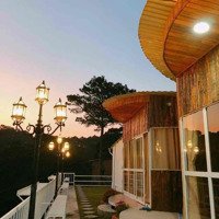 Cho Thuê Homestay Hùng Vương - Phường 10 - Đà Lạt Diện Tích : 5000M2