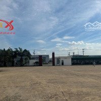 Bán Xưởng 24500M2 Kcn Nhơn Trạch Đồng Nai Chỉ 110 Tỷ