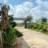 Bán Căn Nhà Vườn Xã Suối Cao Huyện Xuân Lộc Tỉnh Đồng Nai