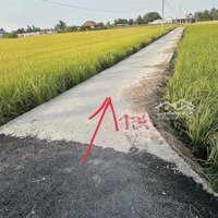 Bán 1400M2 Lúa Giá Bán 769 Triệu Đường Ô Tô An Nhựt Tân - Tân Trụ