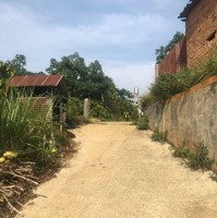 Bán Vườn Dâu 2,3 Sào Giáp Suối Nhỏ Ở Hẻm Nguyễn Trãi, Lộc Thanh, Tp Bảo Lộc