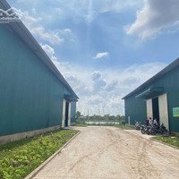 Cho Thuê Kho Xưởng 450 - 1000M2 - 2000M2 Khu Vực Phú Thị, Gia Lâm, Hn