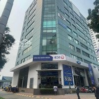 Siêu Phẩm Trung Tâm Quận Đống Đa, Mặt Phố Nguyên Hồng, Mt: 8M. Dtsd 300M2. Cực Hiếm