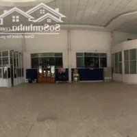 Hình Ảnh - Cho Thuê Showroom Bình Chuẩn, Thuận An, Bình Dương. Giá 80 Triệu/Tháng Sân Trước Showroom