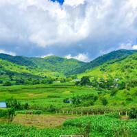 Cần bán GẤP đất Cao Phong Hoà Bình 9400m gồm thổ cư , cây lâu năm, rừng sản xuất giá rẻ