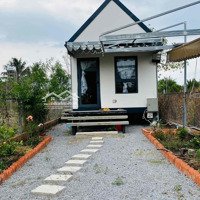 Bán Đất Tặng Nhà Homestay Xinh Đẹp