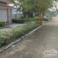 “Ngộp Ná Thở” Giảm 1 Tỷmặt Tiềnđường 155Diện Tích550M (100M Thổ Cư) Xã Bình Mỹ