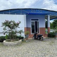 Bán 7000M2 Vườn Homestay, 300M2 Thổ Cư, Đường Bê Tông Xuân Trường, Xuân Lộc, Đn. Có Nhà Gỗ Và Ao Cá