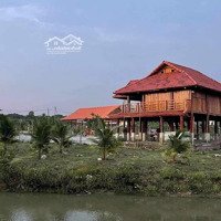 Bán 7000M2 Vườn Homestay, 300M2 Thổ Cư, Đường Bê Tông Xuân Trường, Xuân Lộc, Đn. Có Nhà Gỗ Và Ao Cá