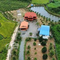 Bán 7000M2 Vườn Homestay, 300M2 Thổ Cư, Đường Bê Tông Xuân Trường, Xuân Lộc, Đn. Có Nhà Gỗ Và Ao Cá