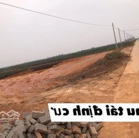 Đất Xã Nga Tân, Nga Sơn , Thanh Hoá