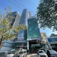 Bán Nhà Tòa Building Hầm 7 Lầu Nguyễn Văn Cừ - Phan Văn Trị, Quận 5 (15X20M) Hầm 7 Tầng, Thang Máy