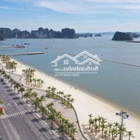 Bán Mảnh Đất Siêu Vip View Biển Cách Thư Viện Quảng Ninh Vài Bước Chân Bám Đường Tỷ Đô Hạ Long, Qn