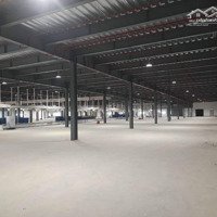 Cho Thuê Nhà Xưởng Diện Tích 13000M2 Khu Công Nghiệp Hưng Yên