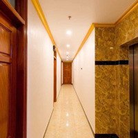 Cho Thuê Căn Hộ Lạc Long Quân - Diện Tích 30M2 - Có Thang Máy - Full Đồ Nội Thất Cao Cấp