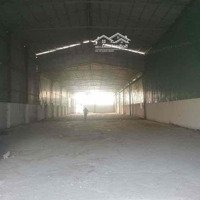 Cho Thuê Xưởng 1400M2 - 1000M2 Bình Chánh