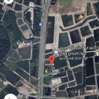 Bán Đất Mặt Tiền Đường Rừng Sác, Xã Bình Khánh, Cần Giờ. 2100M2 (30M X 70M). Giá 9. 5 Triệu/M Tl