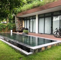 Chỉ 8,5 Tỷ Sở Hữu Biệt Thự 3 Phòng Ngủ Sổ Đỏ 330M2 Kinh Doanh Siêu Đỉnh Tại Flamingo Đại Lải