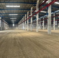 Cho Thuê 9.000M2 Đến 15.000M2 Tại Bình Lục , Tỉnh Hà Nam .