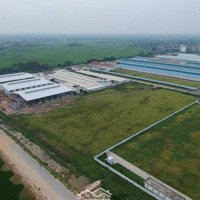 Chuyển Nhượng Lô Đất 1Ha Tại Cụm Công Nghiệp Ninh Hiệp - Gia Lâm - Hà Nội