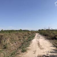 cần bán mảnh đất vườn thanh long tại Tân Tiến, Lagi, Bình Thuận 24000m2 giá 1,7 tỷ ha