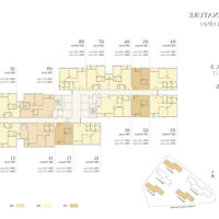 Trực Tiếp Cđt Capital, Căn Hộ Suất Ngoại Giao 1 Phòng Ngủ- 2 Phòng Ngủ- 3 Phòng Ngủ 42M2 - 117M2, Tặng Booking 100 Triệu