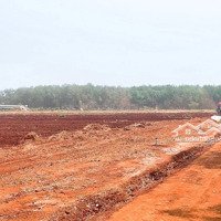 Đất 1000M2 Xã Tân Thành , Thành Phố Đồng Xoài , Bình Phước . Giá 495 Triệu