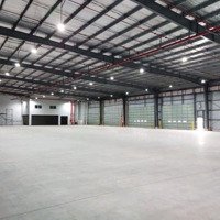 Cho Thuê Kho Đẹp Vũ Phạm Hàm, Cầu Giấy: 250M2, Giá 33 Triệu