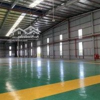 Cho Thuê Kho Xưởng Liên Minh, Dt: 3.350M2, Giá: 160 Triệu/Tháng, Long An