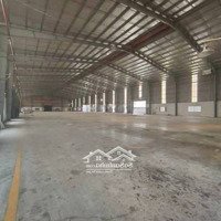 Cho Thuê Kho Xưởng 5700M2 Kcn Hải Sơn Đường Trân Văn Giàu