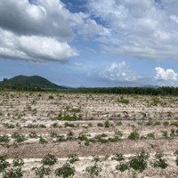 Cần Bán Lô Đất Gần Khu Công Nghiệp Tân Bình Thi Xã Lagi Binh Thuận