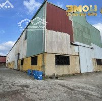 Cho Thuê Kho Xưởng Tại Đường 5 Mới 1400M2 Và 2450M2