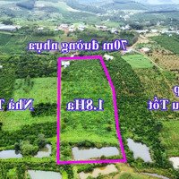 Bán 1.8Ha Nhà Đất Rẫy Bằng Đẹp Quảng Tân,70M Đường Nhựa, Giá Bán 2.7 Tỷ