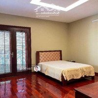 Bán Nhà Phân Lô Quan Chức 60M2 X 6 Tầng, Lô Góc, Vỉa Hè, Ô Tô Tránh, Dân Trí Cao, 12 Tỷ