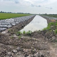 Cần Bán Hơn 2 Công Đất Ruộng Gần Cao Tốc Mỹ Thuận Cần Thơ