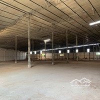 Cho Thuê Kho Xưởng (2.300M2) Bình Chánh. Đường Xe Cont 40F.