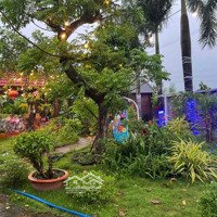 Biệt Thự Nhà Vườn Long Phước, Bà Rịa 7Ty5/ 3565M2 Giá Ngộp Hốt Gấp Ạ