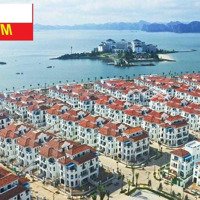 Cho Thuê Căn Bt 3,5 Tầng, 175M2, 6 Phòng Ngủ, Cách Bãi Tắm Của Sun 100M