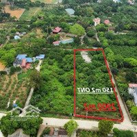 Chuyển Nhượng 2931M2 Tại Trung Tâm Xã Hoà Sơn Lương Sơn Hoà Bình