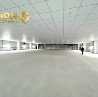 X683. Cho Thuê Xưởng 3000M2 Pccc Tự Động Tại Hải Phòng/Ready Built Factory For Lease