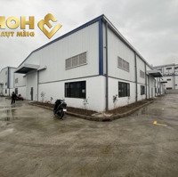 X522. Cho Thuê Xưởng Cụm Công Nghiệp 1700M2 Tba 1000Kva Pccc Tự Động/Ready Built Factory For Lease