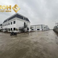 X522. Cho Thuê Xưởng Cụm Công Nghiệp 1700M2 Tba 1000Kva Pccc Tự Động/Ready Built Factory For Lease