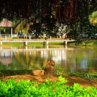 Bán Căn Biệt Thự Đơn Lập Vị Trí Đẹp Nhất Nhì Khu Compound Park Riverside Tân Cảng, Quận 9